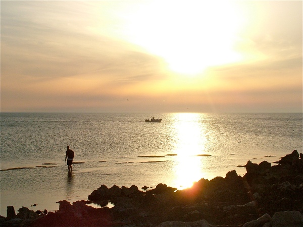 sul "Trottoir a vermeti": pesca al tramonto di costagar51